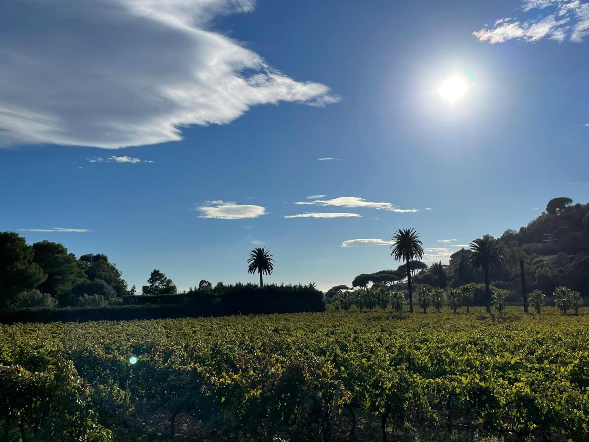 La Villa Cavalaire Esterno foto